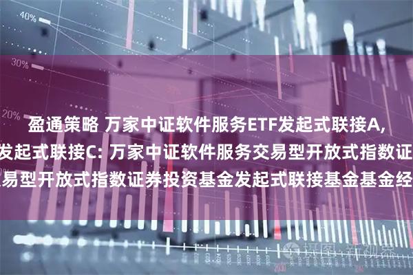盈通策略 万家中证软件服务ETF发起式联接A,万家中证软件服务ETF发起式联接C: 万家中证软件服务交易型开放式指数证券投资基金发起式联接基金基金经理变更公告