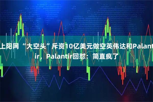 上阳网 “大空头”斥资10亿美元做空英伟达和Palantir,Palantir回怼:简直疯了