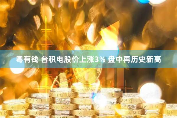 粤有钱 台积电股价上涨3% 盘中再历史新高