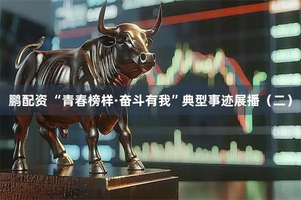 鹏配资 “青春榜样·奋斗有我”典型事迹展播(二)