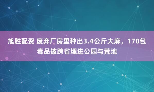 旭胜配资 废弃厂房里种出3.4公斤大麻，170包毒品被跨省埋进公园与荒地
